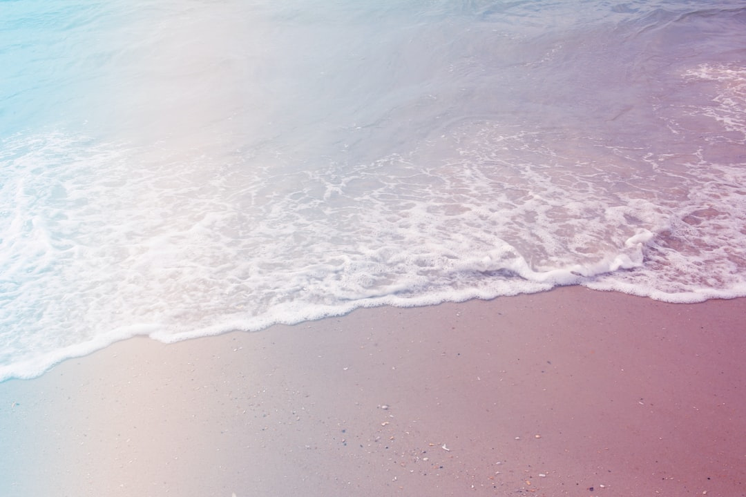 朝の海