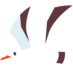 ユリカモメ　イラスト